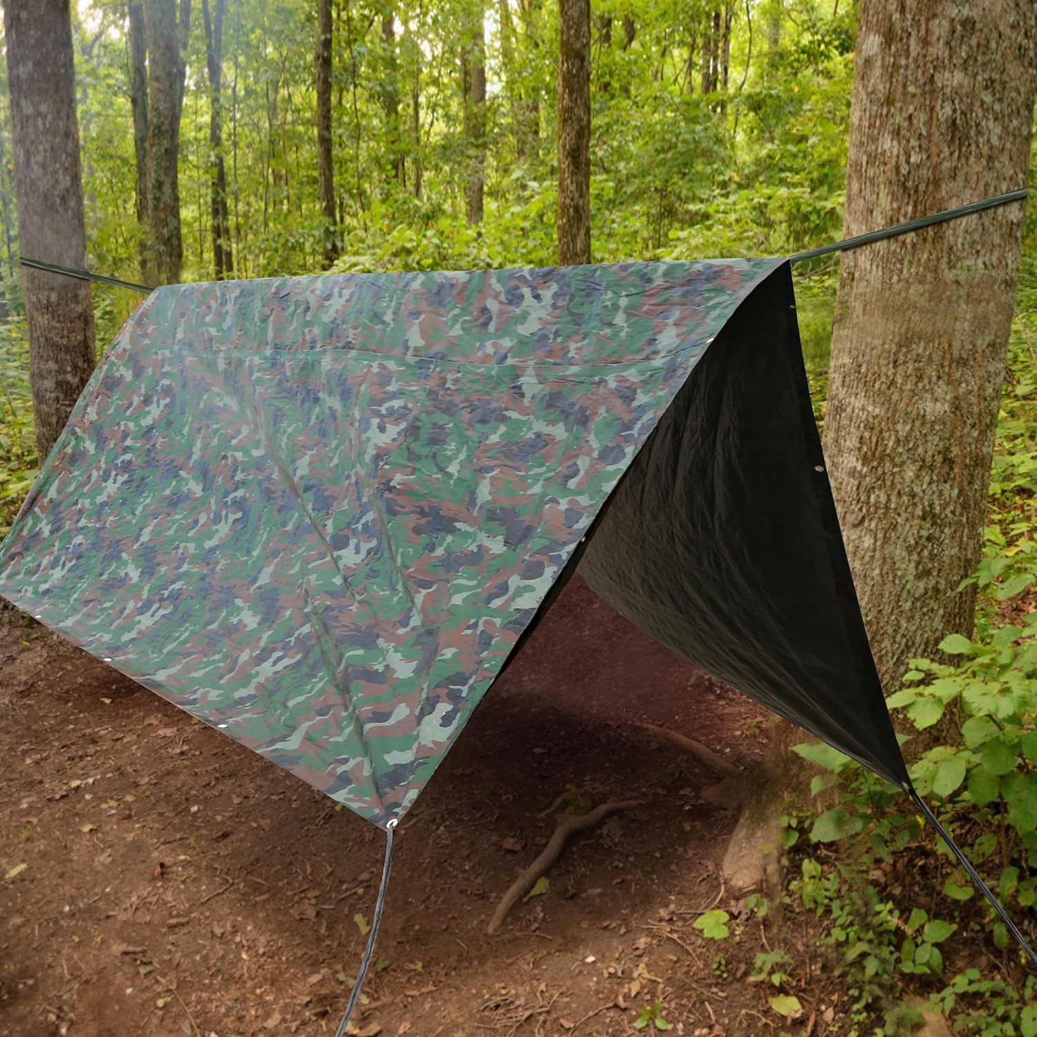 What's most porpular outside used PE Tarpaulin Cover?