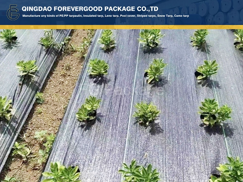 Virgin Material HDPE PP Weed Control Ground Cover Barrier Block Fabric Weed Mat