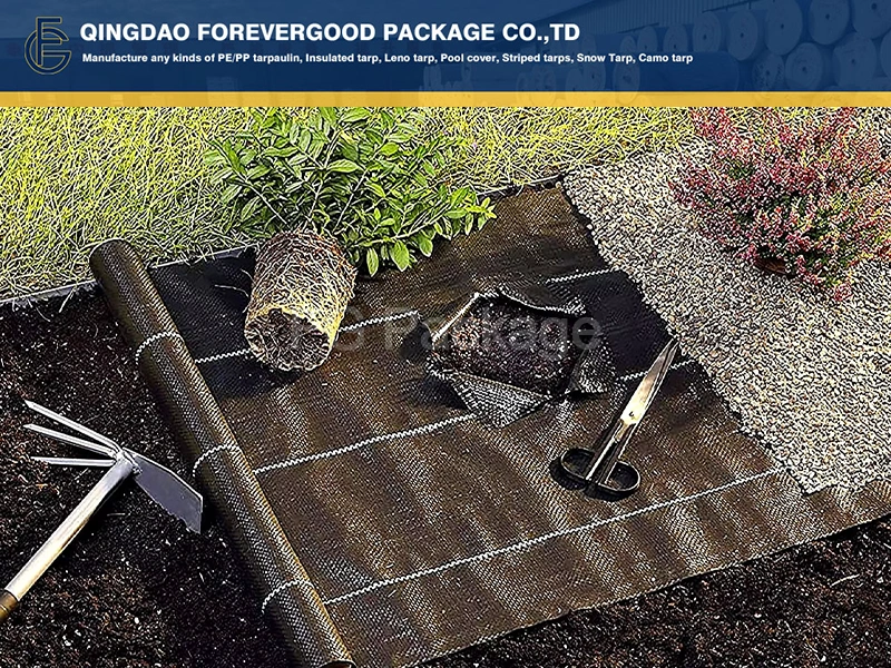 Ground Cover Weed2