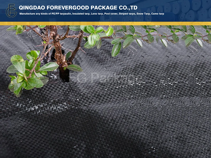 PP Woven Weed Mat Ground Cover Weed Barrier Mat for Agriculture