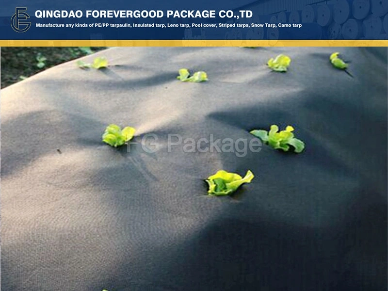 Anti-Weed-Mat2