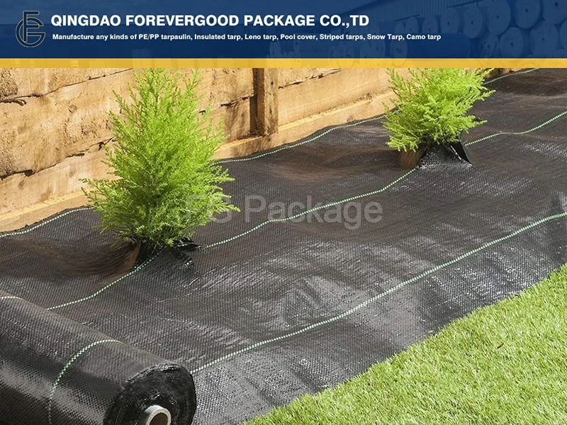 Pp Weed Control Mat 1000x1000