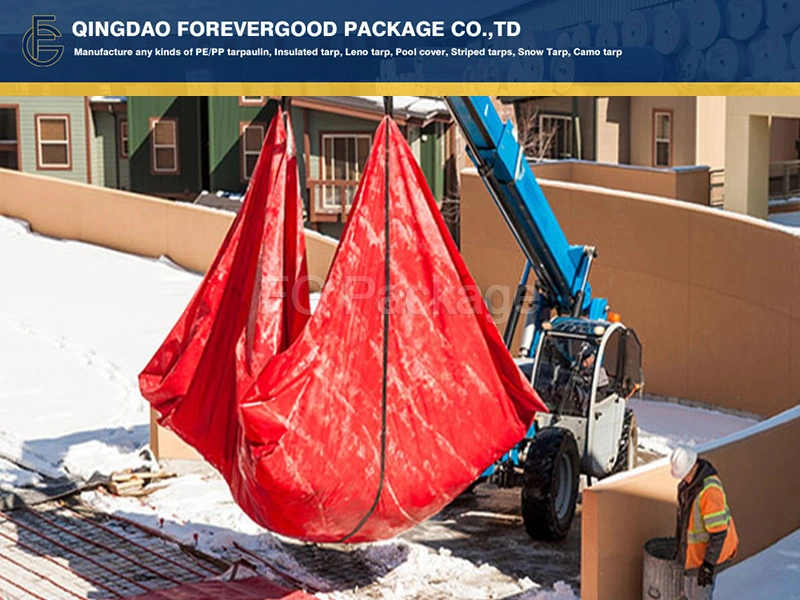 Snow Shields Gallery 6 Cropped