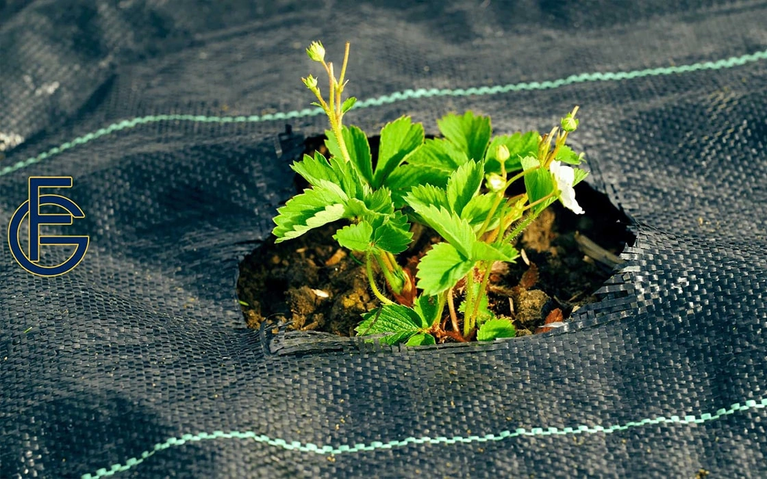 Widely Use For Agriculture